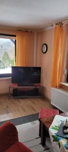 sala de estar con TV de pantalla plana grande en FeWo Harz Haennig 1 en Wieda