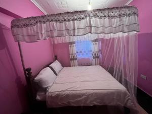Caroline’s property في Oyugis: غرفة نوم مع سرير المظلة مع جدران أرجوانية