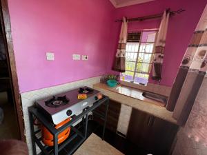 a kitchen with a stove and a pink wall at Caroline’s property in Oyugis