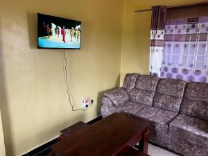 Caroline’s property في Oyugis: غرفة معيشة مع أريكة وتلفزيون على الحائط