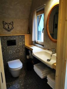La salle de bains est pourvue d'un lavabo, de toilettes et d'un miroir. dans l'établissement Lesní Apartmány, 