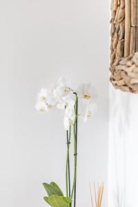 a vase with white flowers in a room at Lakeside Old Hunstanton in Hunstanton +37 photos