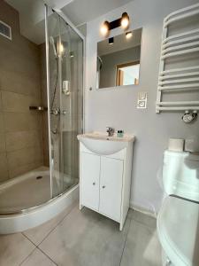 La salle de bains est pourvue d'un lavabo, d'une douche et de toilettes. dans l'établissement Willa Hańcza, à Smolniki