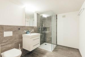 a bathroom with a shower and a toilet and a sink at Casa Nacla Sedrun/Surrein in Sedrun