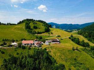 A bird's-eye view of Ferienhof Rabenreith