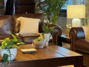 una sala de estar con una mesa de centro con plantas. en Pelion Homes, en Agios Georgios Nilias