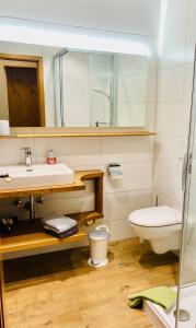 W łazience znajduje się umywalka, toaleta i lustro. w obiekcie Schmölz Robert w mieście Rieden