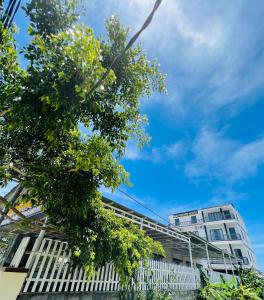 a tree in front of a building at Hải Phong hotel in My Luong