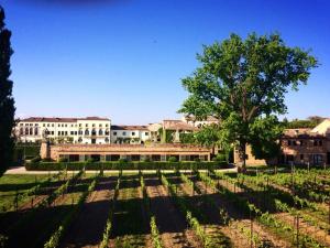 vistas al campus desde el jardín en Agriturismo Dominio di Bagnoli en Bagnoli di Sopra