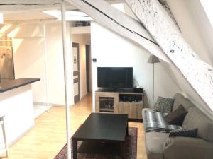 salon z kanapą i telewizorem w obiekcie TOURS quartier halles 70m2 w Tours
