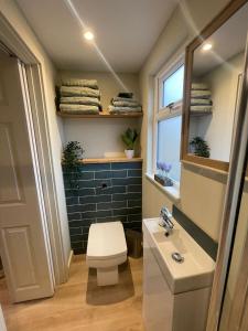 a bathroom with a toilet and a sink at The Hideaway by the sea - free parking in Brighton & Hove
