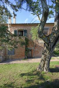 an old brick building with a tree in front of it at Podere Le Crete in Montepulciano