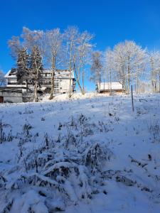un campo ricoperto di neve con una casa sullo sfondo di Great apartment Winterberg WOODS a Medebach