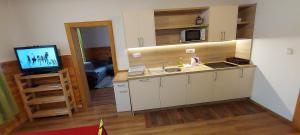 Kuchyň nebo kuchyňský kout v ubytování Apartmán Kienberg pod Lipenskou hrází
