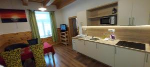 Kuchyň nebo kuchyňský kout v ubytování Apartmán Kienberg pod Lipenskou hrází + 37 fotografií
