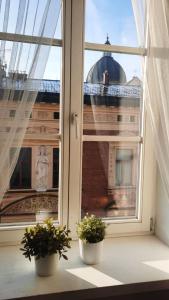 une fenêtre avec deux plantes en pot sur un rebord de fenêtre dans l'établissement Urban Nest Apartments Szewska 21-5, à Cracovie