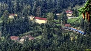 Příroda nedaleko apartmánu