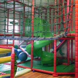 a play area with a green parrot in a cage at Woodlands Hall Hotel in Ederyn