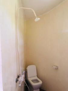 a small bathroom with a toilet and a light at The Dream Garden Bungalow in Kizimkazi