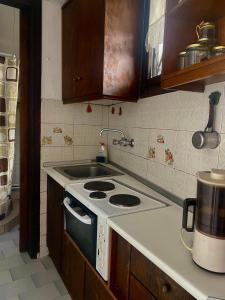 cocina con fogones y fregadero. en Διαμέρισμα Αγγελική, en Makrinitsa