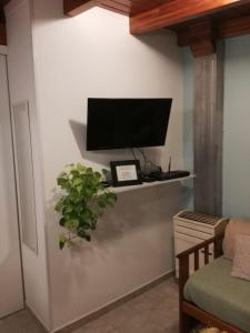 TV de pantalla plana en una pared con una planta en Monoambiente San Francisco in 