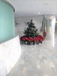 Kép Fantastic Apartment 2 Minutes Walk From The Beach szállásáról Marbellában a galériában