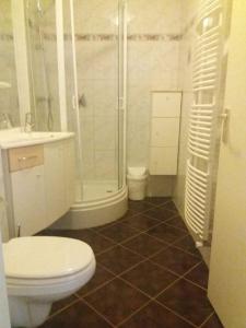 łazienka z toaletą i prysznicem w obiekcie Beach apartment +/- 5 minutes to sea, self checkin w mieście Julianadorp