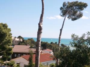 Táj az apartman közelében