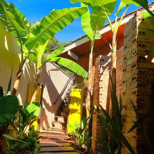 ein Haus mit grünen Pflanzen neben einem Gebäude in der Unterkunft Bangalô das Lagartixas ,casa stúdio com piscina aquecida privativa a 20 minutos do Centro de Curitiba in Colombo