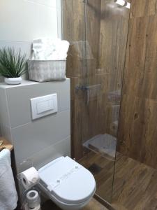Koupelna v ubytování Apartman Element