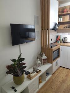 Kuchyň nebo kuchyňský kout v ubytování Apartman Element