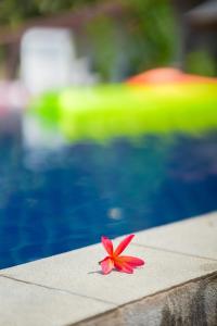 a pink flower sitting on a table next to a swimming pool at Phi Phi Cozy Seafront Resort in Phi Phi Don