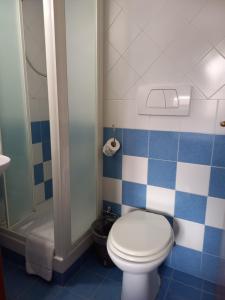 a bathroom with a toilet and a shower at Hotel The Dream in Rome