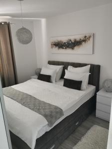 Gallery image of Apartman Hana in Čara