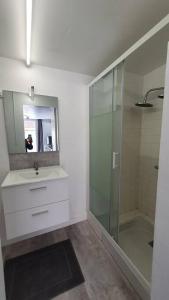 Kúpeľňa v ubytovaní Appartement T2 à 500m de la plage et du marché.