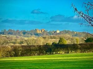 a green field with a castle in the distance at Hardwick View Lodge in Holmewood