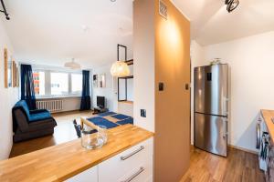 Kuchyňa alebo kuchynka v ubytovaní Ochota Artistic Space Apartment