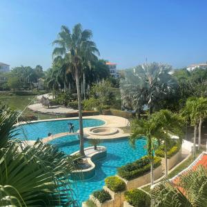 une vue aérienne d'une piscine avec des palmiers dans l'établissement Condominio Campestre Laguna Club Cartagena, à Los Arrayanes