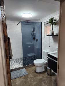 a bathroom with a shower and a toilet and a sink at Die Stoor in Upington