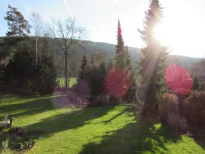 a field of grass with the sun shining on it at Ferienwohnung Brehmbachgrund in Tauberbischofsheim