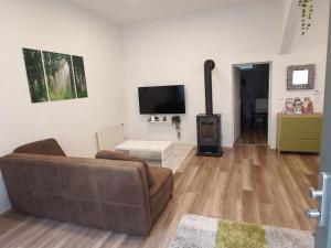 TV a/nebo společenská místnost v ubytování City Apartment mit Direktzugang