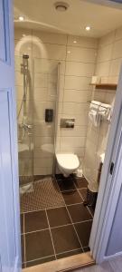 a bathroom with a shower and a white toilet at Erzscheidergaarden Hotell in Røros