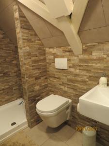 a bathroom with a toilet and a sink at Het Burgemeestershuis in Barsingerhorn +18 photos