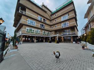 pies stojący przed dużym budynkiem w obiekcie Hotel Acropolis w mieście Shillong
