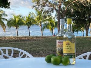 a bottle of wine and some green fruit on a table at Sur la Plage P&V Village Vacances Sainte-Anne in Sainte-Anne