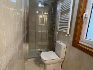 ein Bad mit einem WC und einer Dusche in der Unterkunft Housingcoruña ORILLAMAR in A Coruña