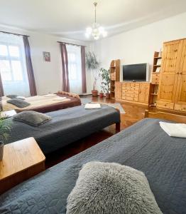 a room with two beds and a television in it at Alex Com in Sibiu