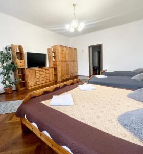 a bedroom with two beds and a flat screen tv at Alex Com in Sibiu