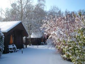 eine Hütte mit Schnee auf dem Boden neben einem Busch in der Unterkunft HORNBEAM 2 Bedroom Lodge in Kingsnorth