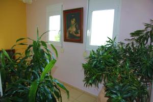 A garden outside Villa Fotini with ocean view